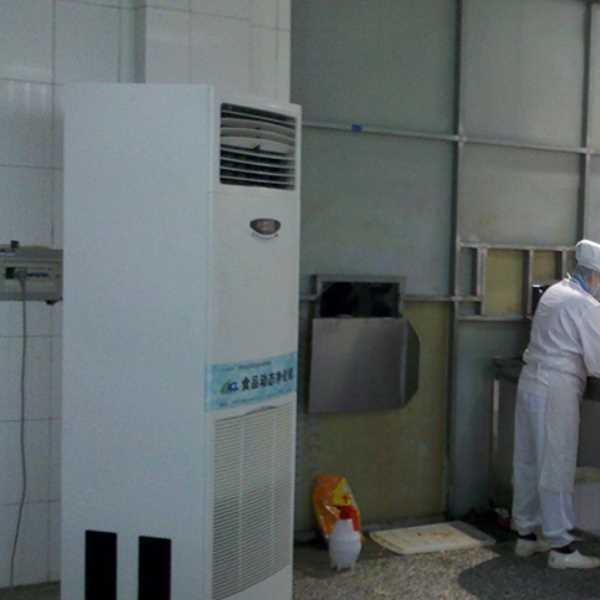 泰州食品正负离子空气杀菌器